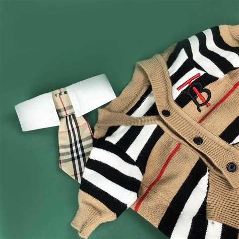 burberry brit dog sweater|Burberry signatures for men.